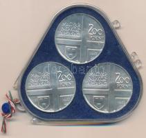 1977. 200Ft Ag (3xklf) "Magyar festők II. / Csontváry, Mányoki, Rippl-Rónai" érmesor plomb...