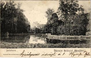 1905 Boldogkőváralja, kastélypark, várrom. Nyulászi Béla kiadása (EK)