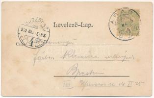 1902 Arad, Csanádi palota. Honisch fényképész felvétele, Pick testvérek kiadása / palace (EB)