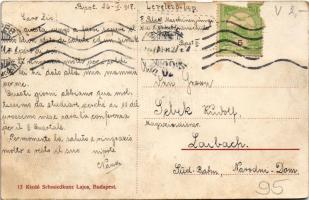 1917 Budapest III. M. Kir. Honvéd Központi Ágyraktár és Gőzmosó Intézet. Kaszásdűlő. Schmiedkurz Laj...