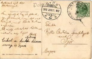 1908 Burgau am Attersee, Wasserfall in der Burggrabenklamm / waterfall (wet damage)