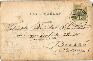 1902 Budapest XII. Svábhegy, Szarvas szobor. Divald Károly (szakadások / tears)