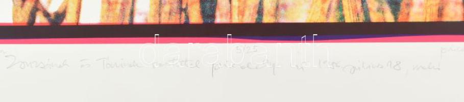 Pinczehelyi Sándor (1946-): Szélkiáltó, 1986. Szitanyomat, papír, jelzett, számozott (5/25), Pinczeh...