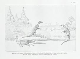 Lambrecht Kálmán: Az ősember elődei. (Az ősállatok). Bp., 1927, Dante (Ujságüzem-ny.), IV+332 p.+ XL...