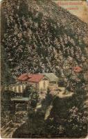 1910 Lillafüred (Miskolc), Margit-Lak. Grünwald Ignác kiadása (fl)