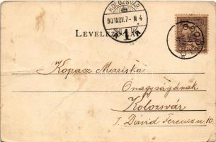 1901 Gödöllő, Király domb (fa)