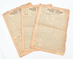 1919 Esztergomi Friss Ujság politikai napilap 3 db száma (1919. jan. 10-12.), benne a csehek előrenyomulásával kapcsolatos hírekkel, sérülésekkel