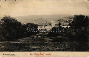 1909 Kolozsborsa, Borsa; Báró Bánffy Ernő palotája, kastély. Léb Jónás és fia kiadása / castle (EK)