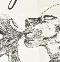 Cro-magnon-i-Cola koncert, Fiatal Művészek Klubja, plakát, hajtott, 42×28 cm