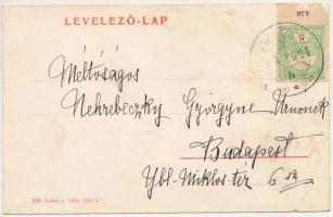 Ludas (Heves), Tarródy-Gosztonyi-Beökönyi kastély (ázott / wet damage)