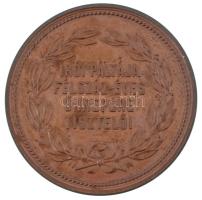 Carl Radnitzky (1818-1901) 1871. "Toldy Ferenc MDCCCLXXI / Írói pályája félszáz - éves ünnepére...