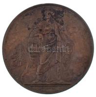 Wenzel Seidan (1817-1870) 1876. "Máramaros Megye és Sziget Kor. Városa - Magyar Orvosok és Természetvizsgálók XIX. Gyűlésének" bronz emlékérem (45mm) T:AU,XF kis patina / Hungary 1876. "Maramure? County and Sighetu Marmatei / VIIIth General Assembly of the Hungarian Doctors and Naturalists" bronze commemorative medallion (45mm) C:AU,XF small patina