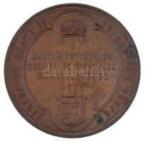 Wenzel Seidan (1817-1870) 1876. "Máramaros Megye és Sziget Kor. Városa - Magyar Orvosok és Term...