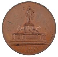 Wenzel Seidan (1817-1870) 1876. "Máramaros Megye és Sziget Kor. Városa - Magyar Orvosok és Term...