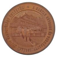 Wenzel Seidan (1817-1870) 1876. "Máramaros Megye és Sziget Kor. Városa - Magyar Orvosok és Term...