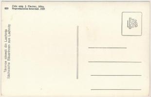 Szászlekence, Lekence, Lechnita, Lechnitz; Tarance sasesti / Sächsische Bäuerinnen / Erdélyi szász n...