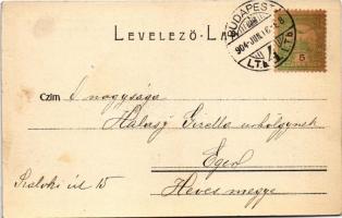 1904 Budapest V. M. kir. Tudományos Egyetem, villamos (EK)