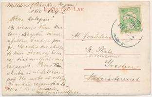 1910 Nagyszeben, Hermannstadt, Sibiu; Nagydisznódi utca, Springer üzlete. Montázs szerelmespárral a ...