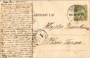 1906 Budapest V. M. kir. Központi Tudományos Egyetem, villamos. Divald Károly 294. (fa)