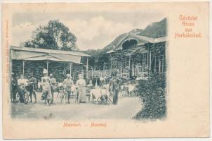 1901 Herkulesfürdő, Herkulesbad, Baile Herculane; Majorkert, kerékpárosok. Emil Jäger kiadása / Meierhof / restaurant, bicycles (EK)