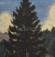 Husovszky János (1883-1961): Nagybányai házak. Olaj, vászon, jelezve jobbra lent. Dekoratív fakeretb...