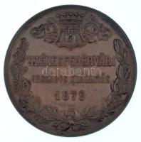1879. "Székesfehérvári Országos Kiállítás" bronz emlékérem (450mm) T:AU,XF / Hungary 1879....