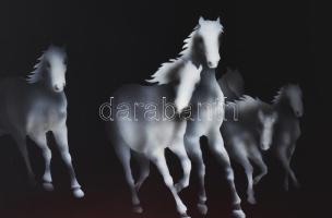 Octavian Florescu (1957-): Száguldás (lovak). Olaj, farost, jelzett, fakeretben, 60x80 cm