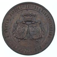 Wenzel Seidan (1817-1870) 1870. "A Magyar Orvosok és Természetvizsgálók - Aradon 1870 / A termé...