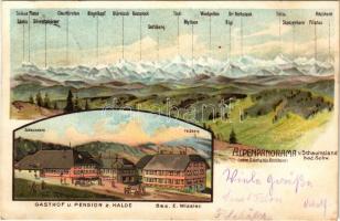 1907 Schauinsland Bad Schwarzwald, Alpenpanorama vom Säntis bis Ritzlihorn, Gasthaus u. pension z. Halde Bes. E. Wissler / general view, mountains, hotel, automobile, litho (fl)