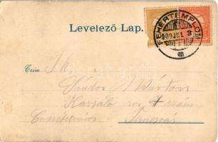 1909 Fehértemplom, Ung. Weisskirchen, Bela Crkva; Római katolikus templom. Kuhn Péter kiadása / chur...