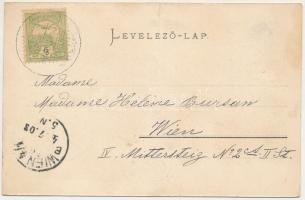 1903 Vízakna, Salzburg, Ocna Sibiului; Kursalon / Gyógyterem. Takáts Jenő kiadása / spa (fa)