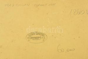 cca 1885 Abrudbánya, utcakép, Szabó Sándor pecséttel jelzett fotója, sérült karton, foltokkal, 17,5×...