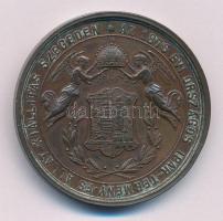 1876. "A 1876 évi Országos Ipar-termény- és Állat-kiállítás Szegeden / Emlék Érem" kétolda...