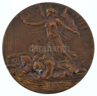 Osztrák-Magyar Monarchia 1914. "Az első világháború kezdete" bronz emlékérem. Szign.: Rudo...