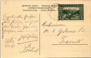 1909 Ilidza, Bad Ilidze bei Sarajevo; Schwanenteich / swan lake + "K. und k. Milit. Post Ilidze...