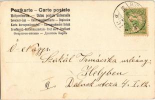 1903 Boldog Újévet! / New Year greeting art postcard, chimney sweeper with champagne, pigs and clove...