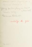 cca 1910 Brassó környéki hegyek, Tömös-völgy, Tarmina hasadék, Erdélyi Mór (1866-1934) felvétele, a ...
