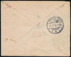 Új-Dél Wales 1895 Levél / New South Wales 1895 Cover to Germany