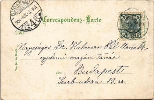 1904 Wien, Vienna, Bécs; K. k. Universität / university, horse-drawn tram (EB)