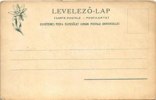 Tátrafüred, Ótátrafüred, Altschmecks, Stary Smokovec (Magas Tátra, Vysoké Tatry); Tarpataki tájrészl...