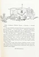 A gyémántszekerce. Mesék és történetek. Reich Károly rajzaival. Bp., 1963. Móra. Illusztrációkkal. K...