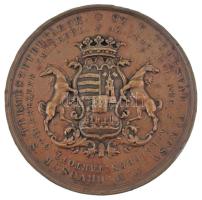 Josef Daniel Boehm (1794-1865) 1843. "A Magyar Orvosok és Természetbúvárok 1843. évi temesvári ...