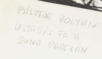 Pásztor Zoltán (-): Jégzajlás a Dunán és Uszadék fa a Dunaparton. 2 db fotó. Jelzés nélkül, hátoldal...