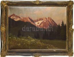 Tordai Székely Mihály (1890-1940): Hegyvidéki táj. Olaj, vászon, jelezve balra lent. Dekoratív, sérü...