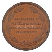 Carl Radnitzky (1818-1901) 1883. "Ormós Zsigmond főispán / 1883. február 20. - 70. születés-nap...