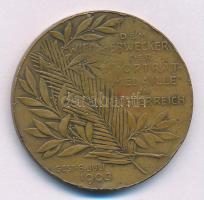 Ausztria 1903. "Anton Scharff" halálának emlékére készített bronz emlékérem. Szign.: Neube...