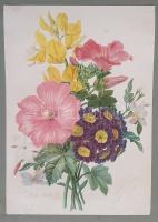 Album 1850-1870 között, Milánó (Piazza del Duomo) gyönyörű kézzel színezett látképével. - Egyedi öss...