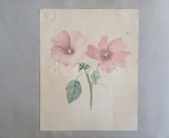 Album 1850-1870 között, Milánó (Piazza del Duomo) gyönyörű kézzel színezett látképével. - Egyedi öss...