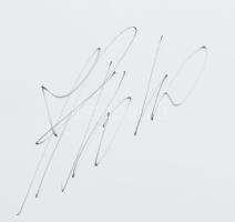 Pataky Tibor-Kövesdi Viktor: 12. menet. Bp., 2001. Timsel-Press. Kiadói papírkötésben, ALÁÍRT példán...