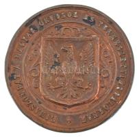 Wenzel Seidan (1817-1870) 1866. "Rimaszombat a Magyar Orvosok és Természetvizsgálóknak" ké...